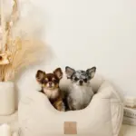 撥水ふんわりドライブペットベッド