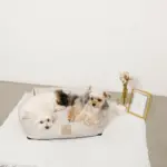 ギンガムチェッククッションベッド