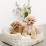 ギンガムチェッククッションベッド