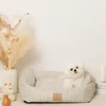 ギンガムチェッククッションベッド