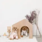 室内用ストライプペットハウス クッション付