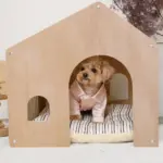 室内用ストライプペットハウス クッション付