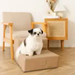 エコレザー階段