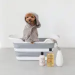 折りたたみコンパクトペットバス