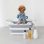 折りたたみコンパクトペットバス