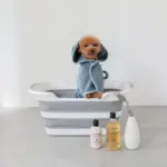 折りたたみコンパクトペットバス