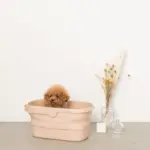 折りたたみ持ち手付ペットバス