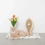 さかな型壁掛け爪とぎマット