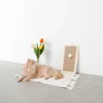 長方形壁掛け爪とぎマット