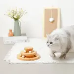 長方形壁掛け爪とぎマット