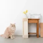 柱コーナー爪とぎ