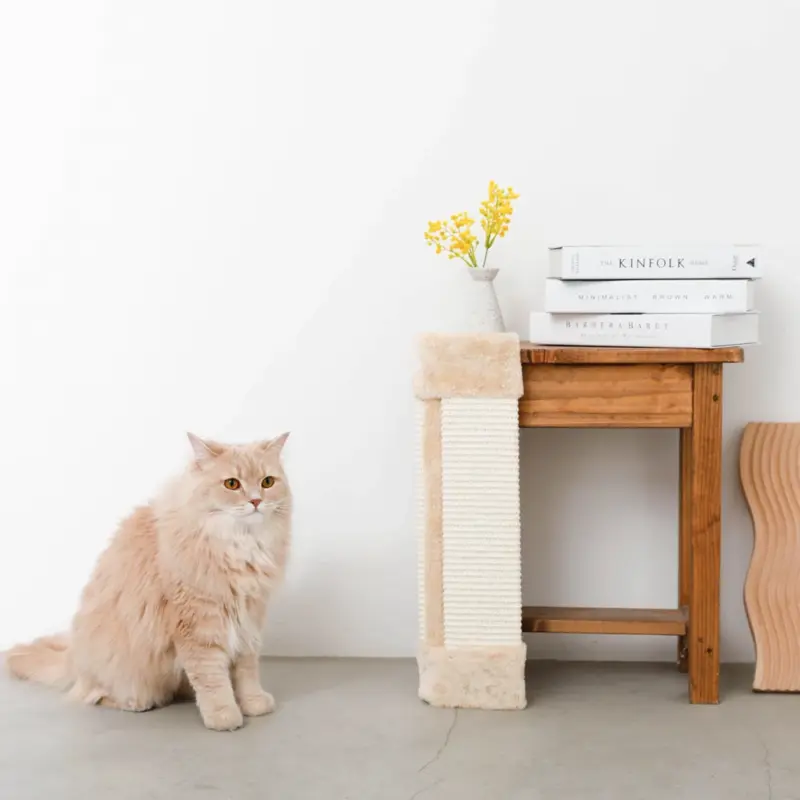 柱コーナー爪とぎ