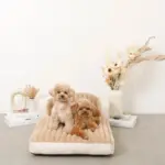 もこもこソファクッションベッド