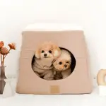 2wayペットハウス