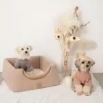 2wayペットハウス