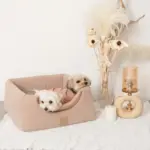 2wayペットハウス