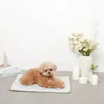 tomboniaコラボひんやりジェルマット