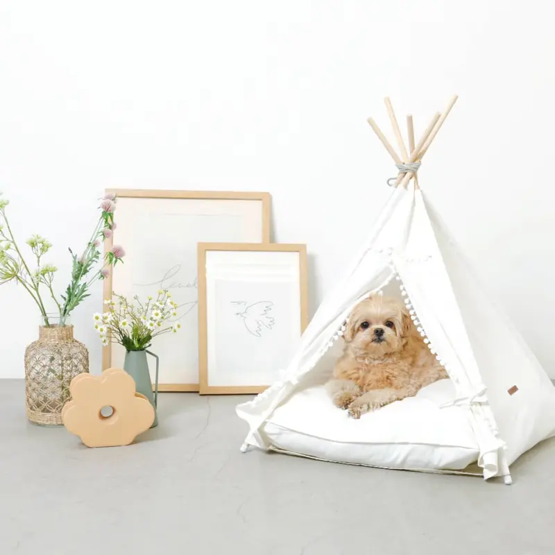 クッション付テントハウス