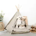 クッション付テントハウス