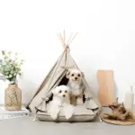 クッション付テントハウス