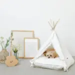 クッション付テントハウス