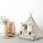 クッション付テントハウス