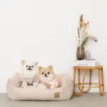 ドットヤーンキルティングクッションベッド