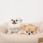 ドットヤーンキルティングクッションベッド