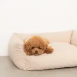 ドットヤーンキルティングクッションベッド