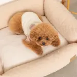 ドットヤーンキルティングクッションベッド