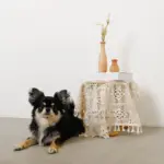 ドライフラワー用ウッドミニフラワーベース