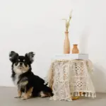 ドライフラワー用ウッドミニフラワーベース