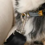 ストライプふんわりドライブペットベッド