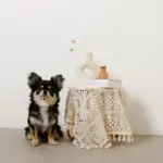 カーブサークルフラワーベース