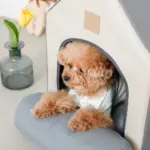 エコレザー組み立てハウス クッション付き