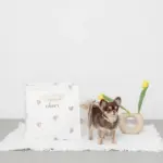 キルティング刺繍マルチボックス【名入れ刺繍対応】