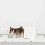 キルティング刺繍マルチボックス【名入れ刺繍対応】