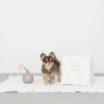 キルティング刺繍マルチボックス【名入れ刺繍対応】