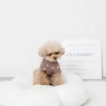 ファーフラワークッションベッド