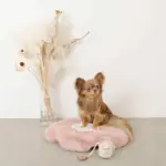 ファーフラワーペットベッドマット