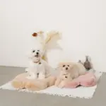 ファーフラワーペットベッドマット