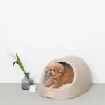 エコレザー洞窟ハウス