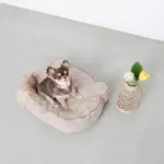 くまさんフェイスドッグベッド