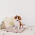 リブフラワークッション