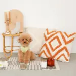 ジグザグフリンジクッション