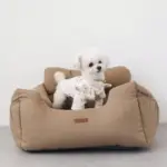 2WAYドライブベッド