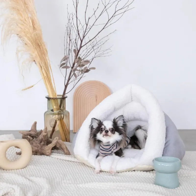 ドーム型ボアハウス