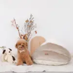 あご のせ 犬 - Professional Guide and Review