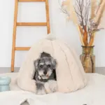 ドーム型セミクローズドペットハウス クッション付