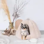 ドーム型セミクローズドペットハウス クッション付